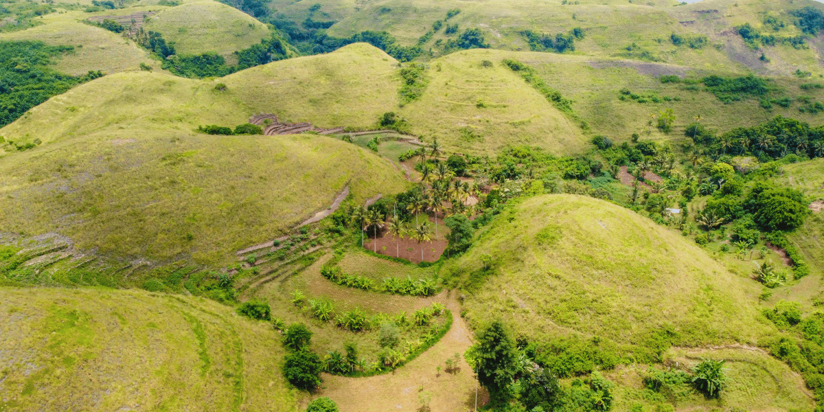 Teletubbues Hills Image